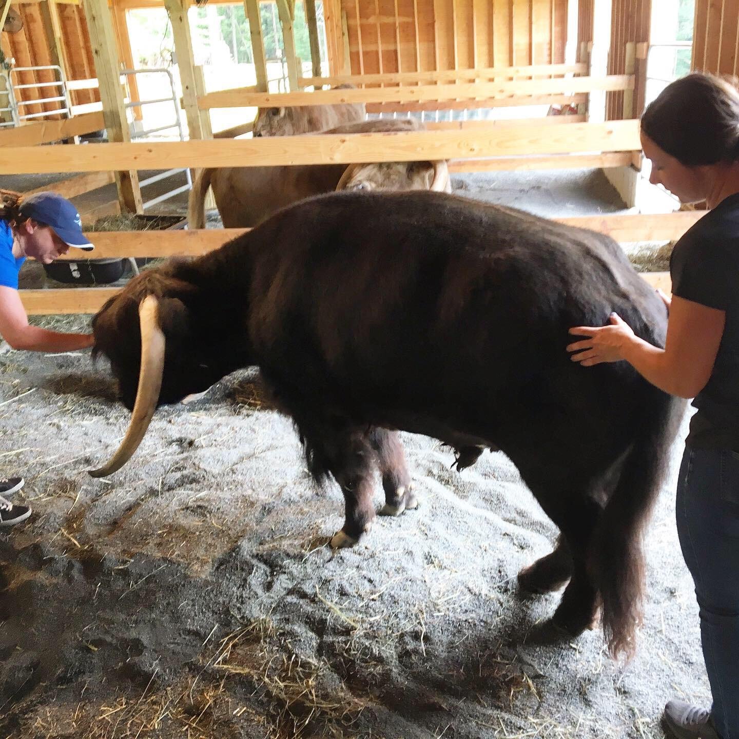 Brody getting assessed by Nicole & Laura