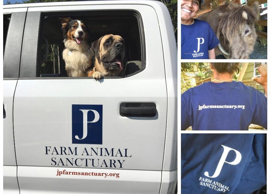 Summer lovin’ at JP Farm