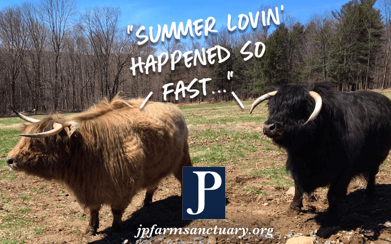 Summer lovin’ happened so fast…