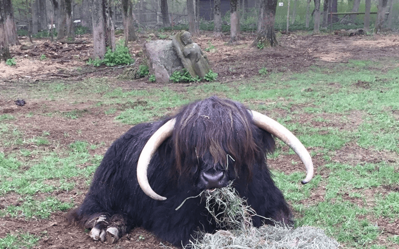 jpfarm-blog-brody