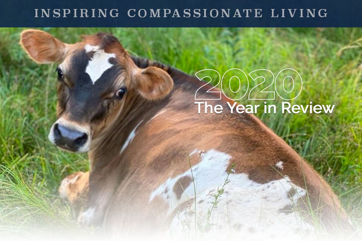 What we’re thankful for…
