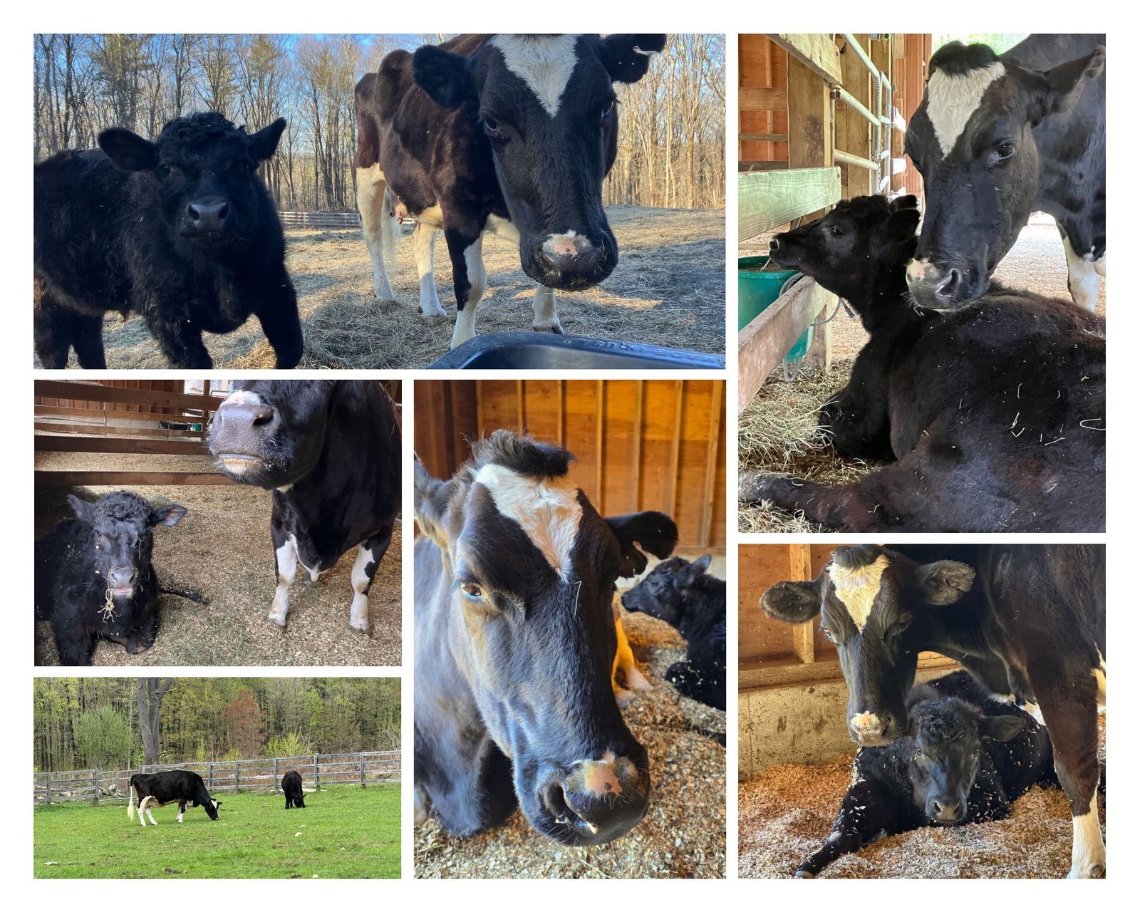 A Mother’s Day Love Story