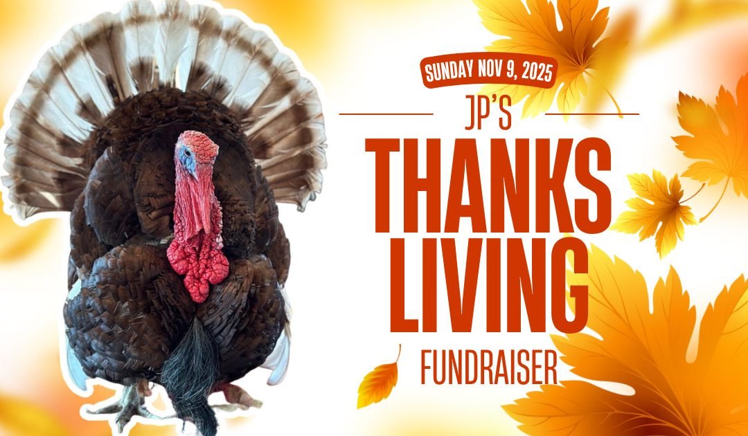 Celebrating Compassion: Our 5th Annual Thanksliving at JP Farm Animal Sanctuary
